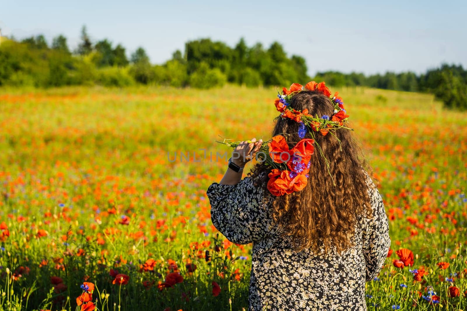 A long-haired curly woman plus size stands among a poppy meadow in a wreath of poppies and cornflowers and holds a bunch of poppies