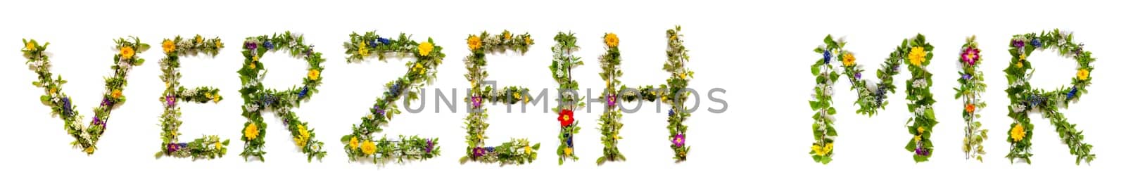 Blooming Flower Letters Building German Word Verzeih Mir Means Forgive Me. Colorful Spring and Summer Blossoms. White Isolated Background.