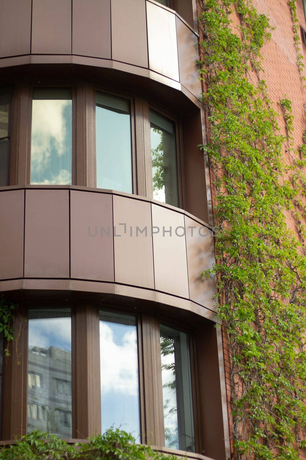 Ivy on the wall of the house. Comfortable accommodation with comfortable balconies. Ivy in the decoration of the building.