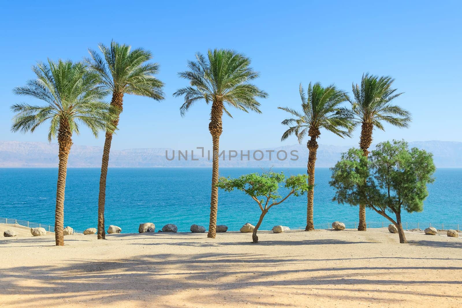 Vivid bright and vibrant saturated scenery of Dead Sea with palm trees on sunshine coast