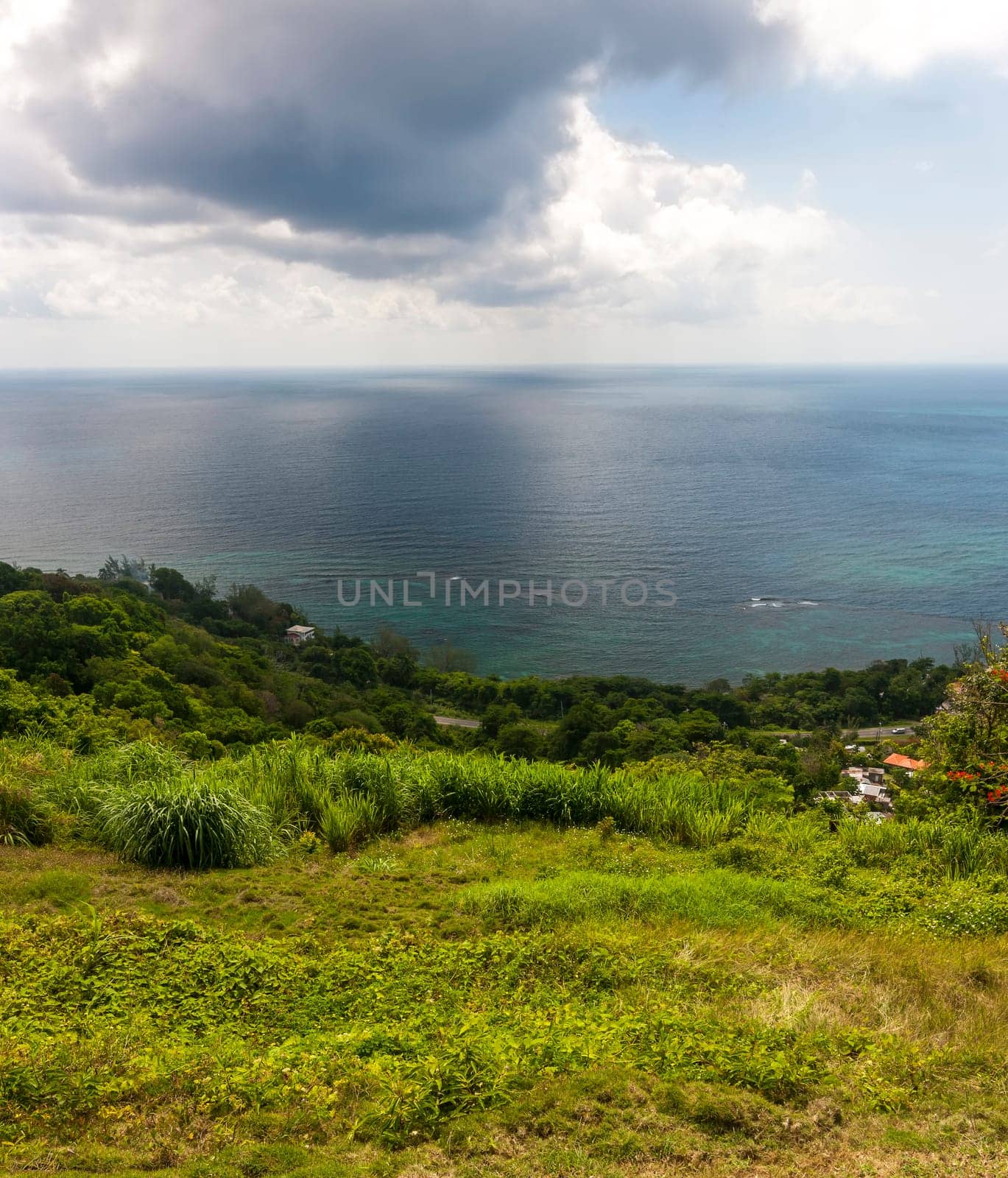Jamaican Beach A. Caribbean beach on the northern coast of Jamaica, near Dunn&#39 s River Falls and the town of Ocho Rios.