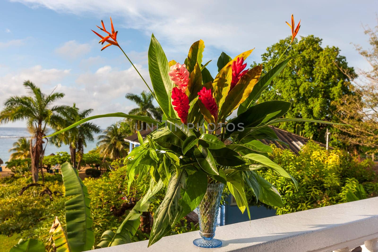 A beautiful tropical red ginger and hibiscus flowers. Jamaica