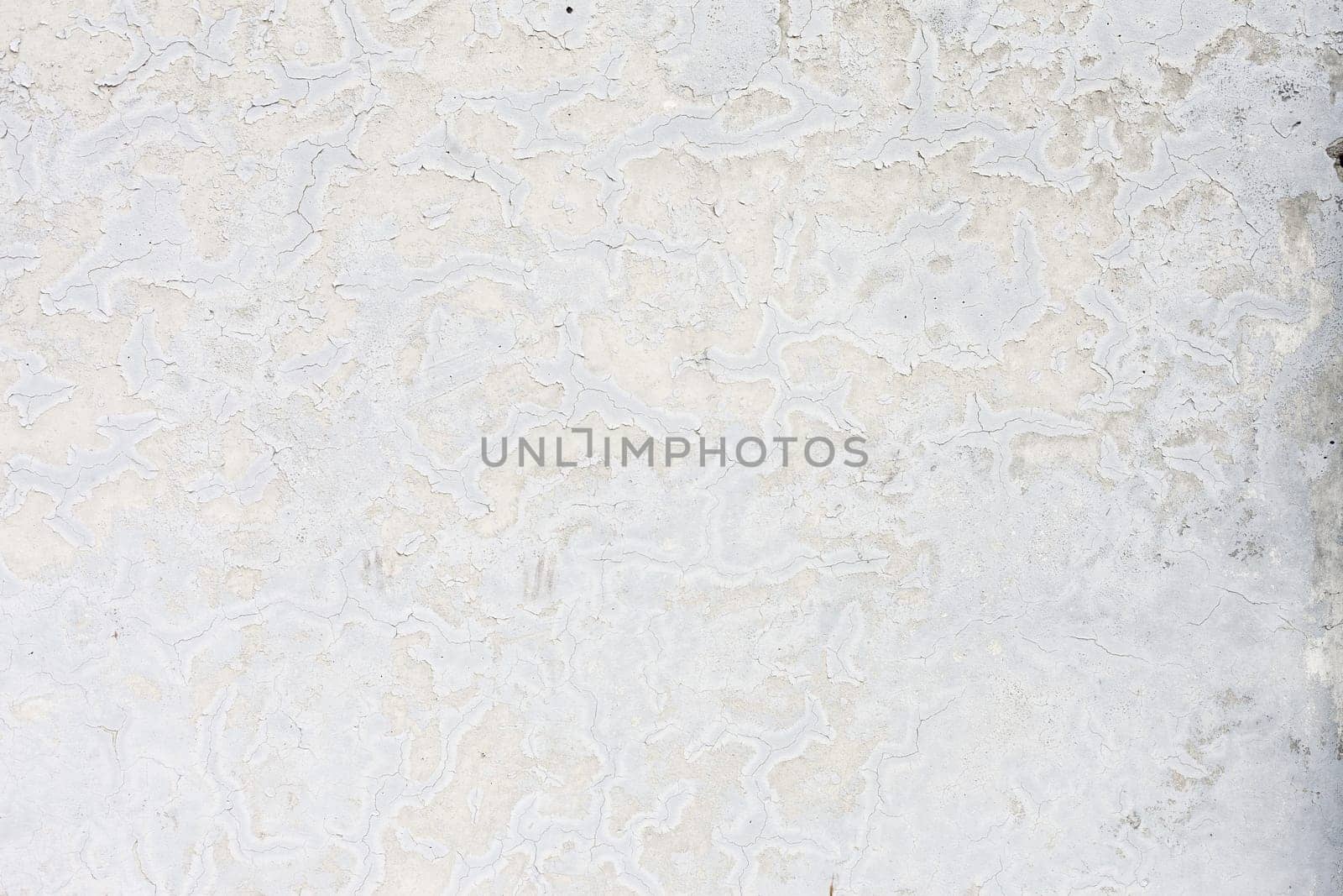 Grunge white background cement old texture wall