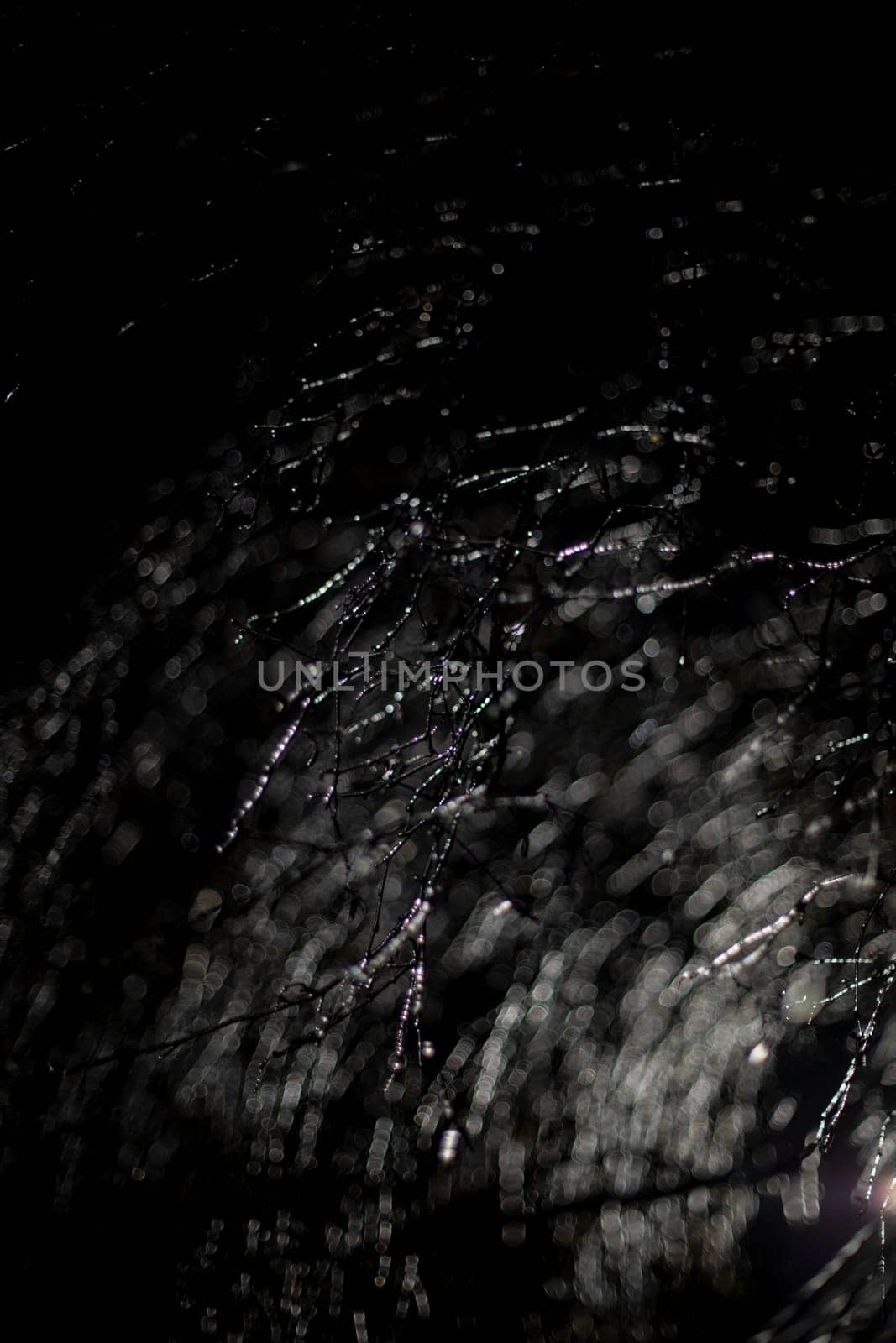 Icy tree branches on black background. Ice on branches at night. Dark texture. Reflections of light.