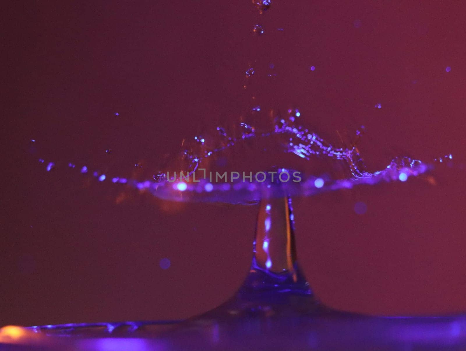 Drop of water colliding when it bounces and forming a palm tree