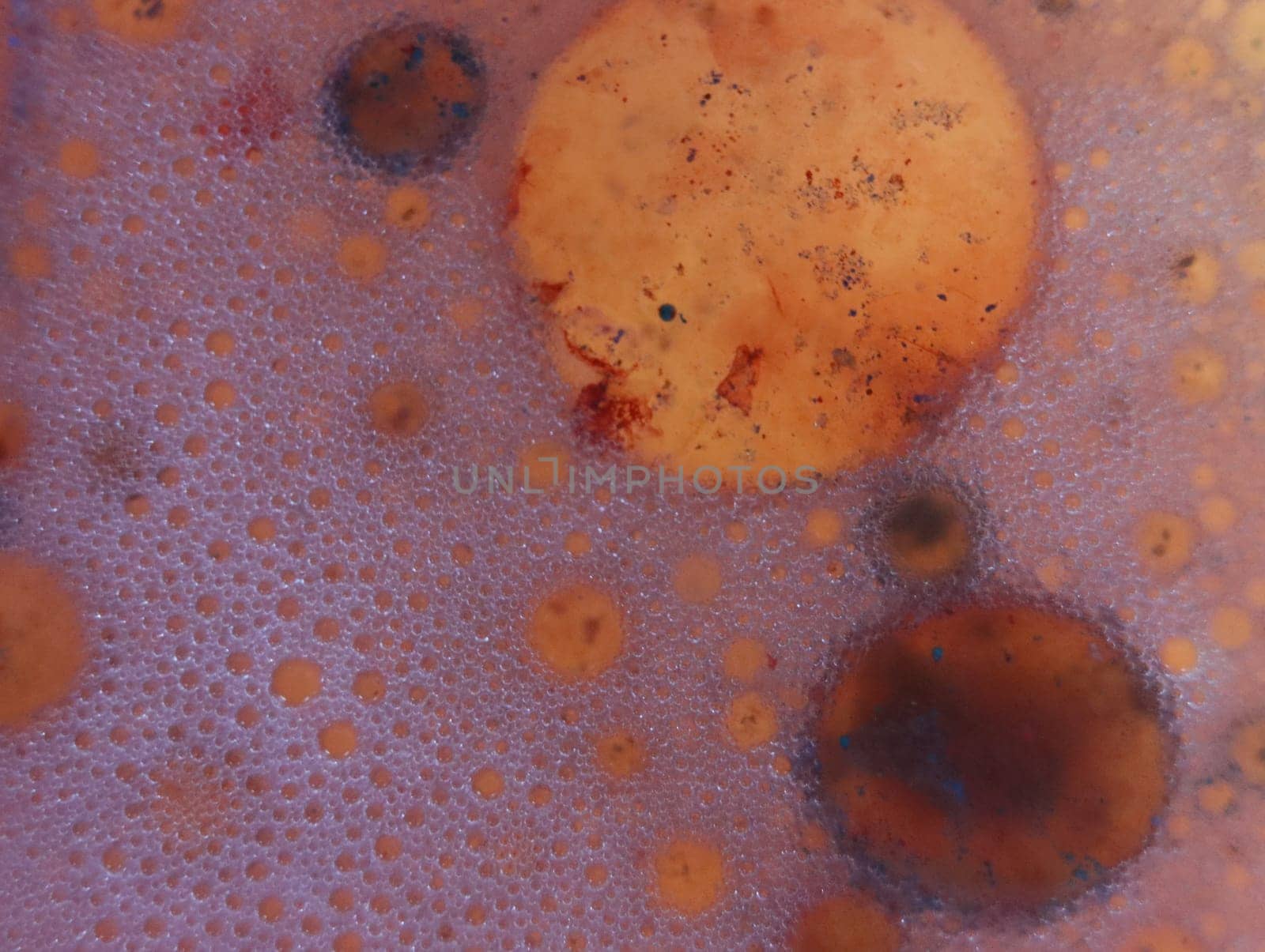 abstract background fantasy illusion rarity imagination virus bacteria sensation