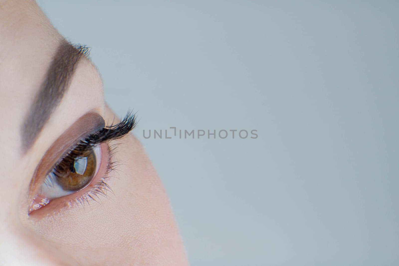 Close-up of brown eye with long false eyelashes, ideal skin, flawless eyebrow of unrecognizable young woman on grey background. Macro shot. Eyelash extension, beauty procedures, cosmetology, make-up.