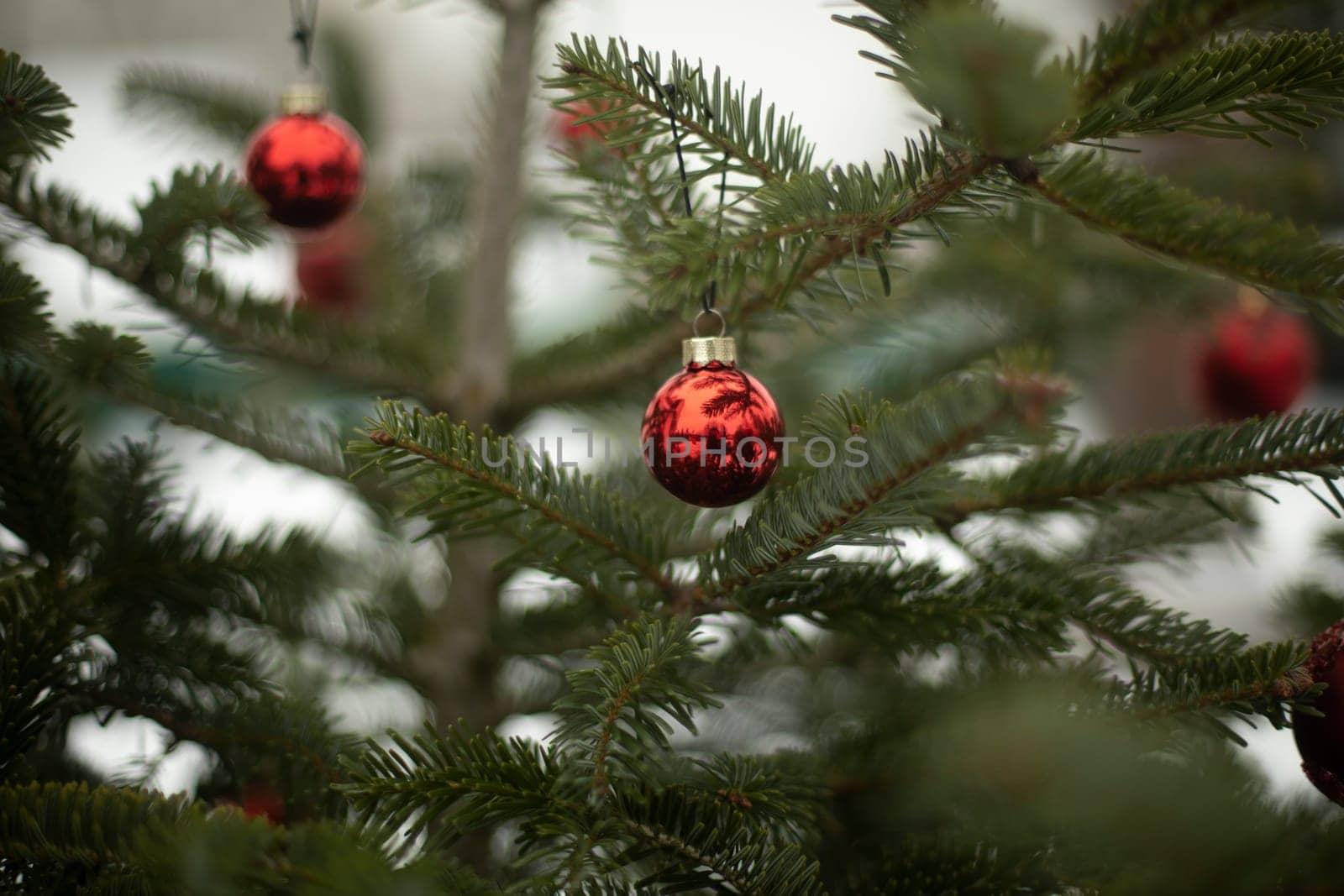 Red balls on Christmas tree. Decoration for Christmas. Christmas tree toys on spruce branches. Balls on strings.