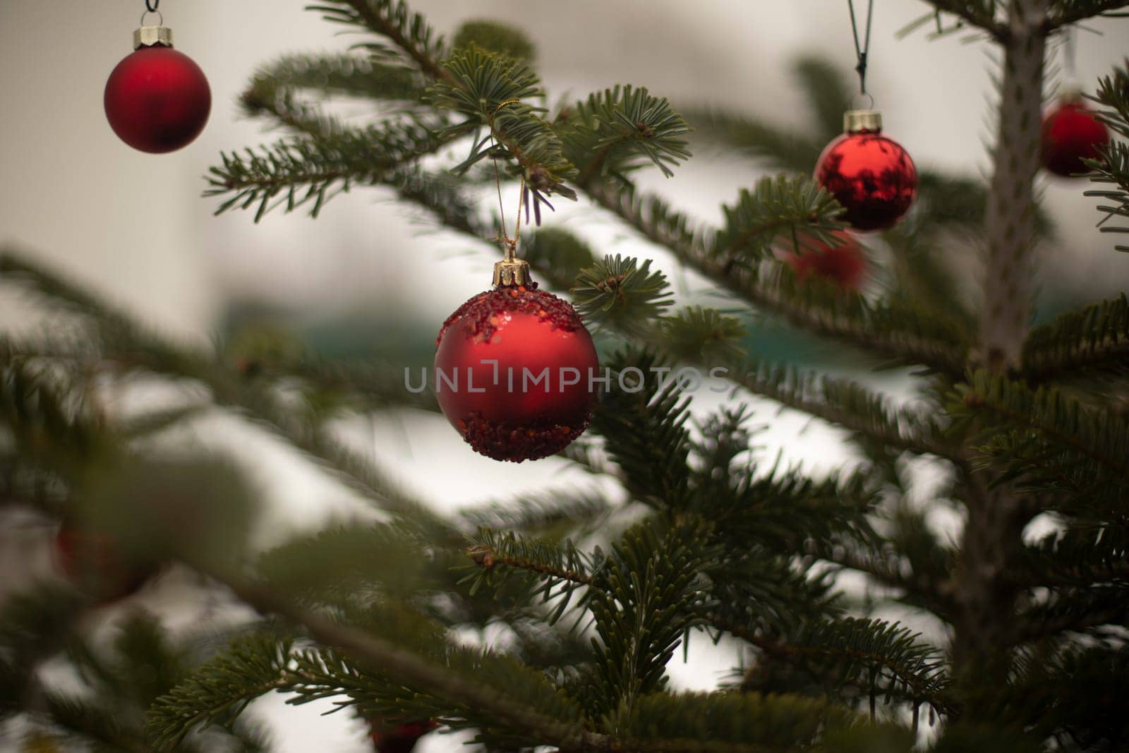 Red balls on spruce. Decoration for new year. Festive mood in winter. Red garland.