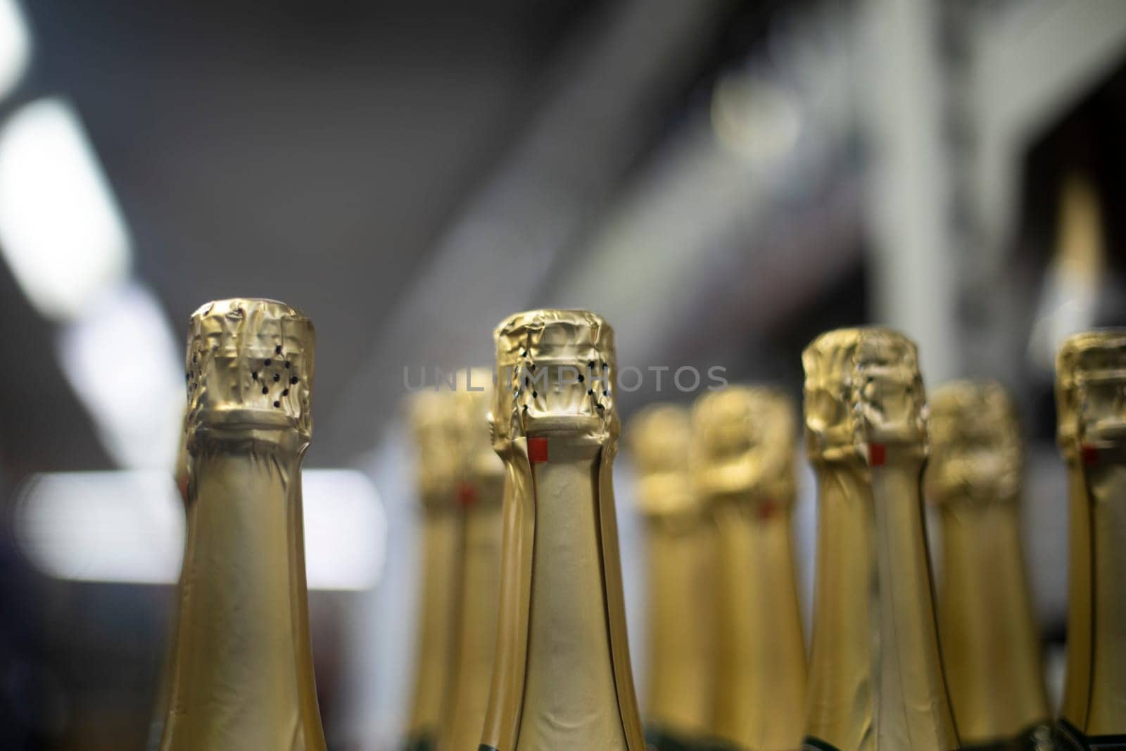Champagne stands in row. Champagne bottles. Gold foil on alcohol. Sale of beverages.