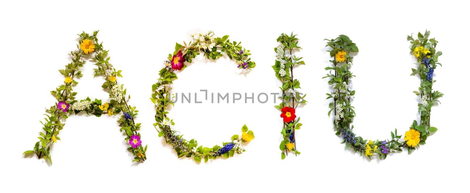 Colorful Flowers Building Lithuanian Text Aciu, Means Thank You in English, Some Green And Some Spring Flowers on Isolated White Background, Symbolic Meaning, Quote