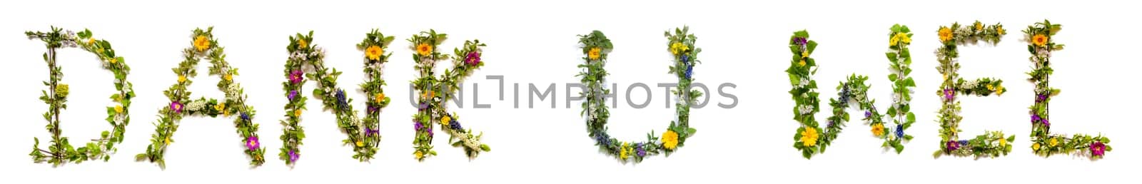 Colorful Flowers Building Dutch Text Dank U Wel, Means Thank You in English, Some Green And Some Spring Flowers on Isolated White Background, Symbolic Meaning, Quote