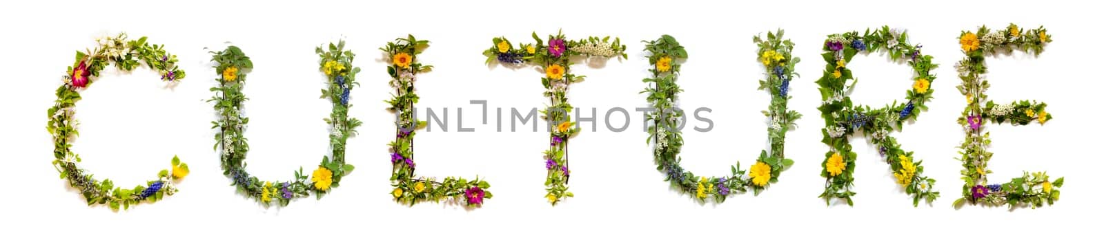 Colorful Flowers Building English Text Culture, Some Green And Some Spring Flowers on Isolated White Background, Symbolic Meaning, Quote