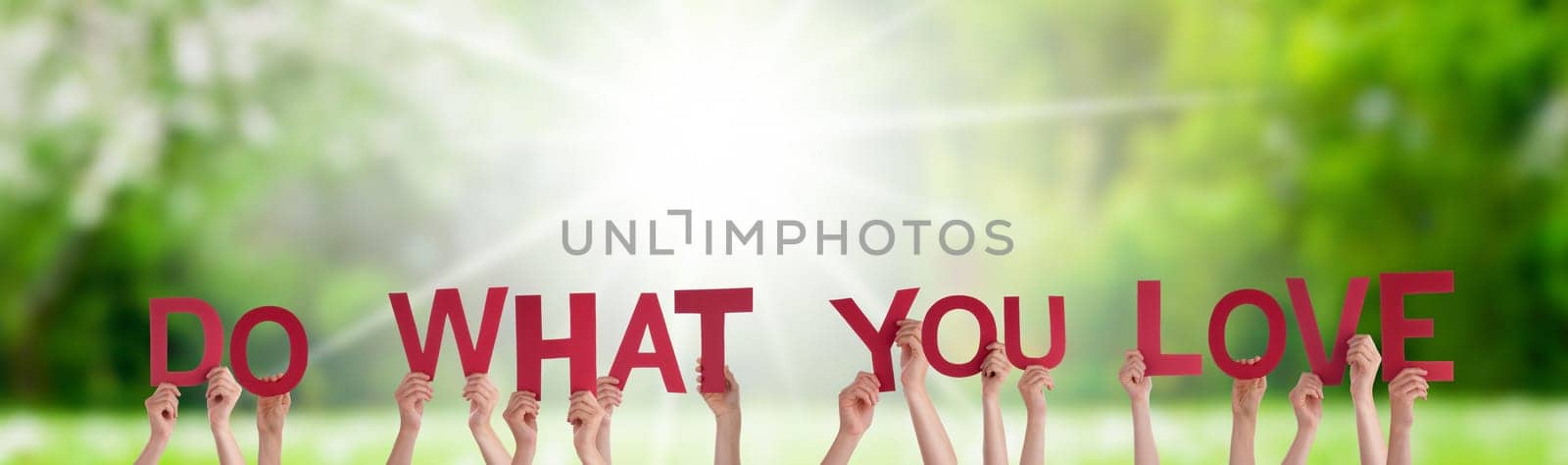 People Or Persons Hands Building English Word Do What You Love. Sunny Green Grass Meadow As Background.