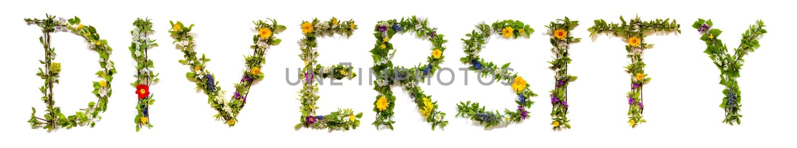 Colorful Flowers Building English Text Diversity, Some Green And Some Spring Flowers on Isolated White Background, Symbolic Meaning, Quote