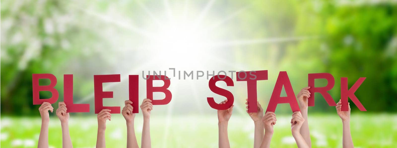 People Or Persons Hands Building German Word Bleib Stark Means Be Strong. Sunny Green Grass Meadow As Background.