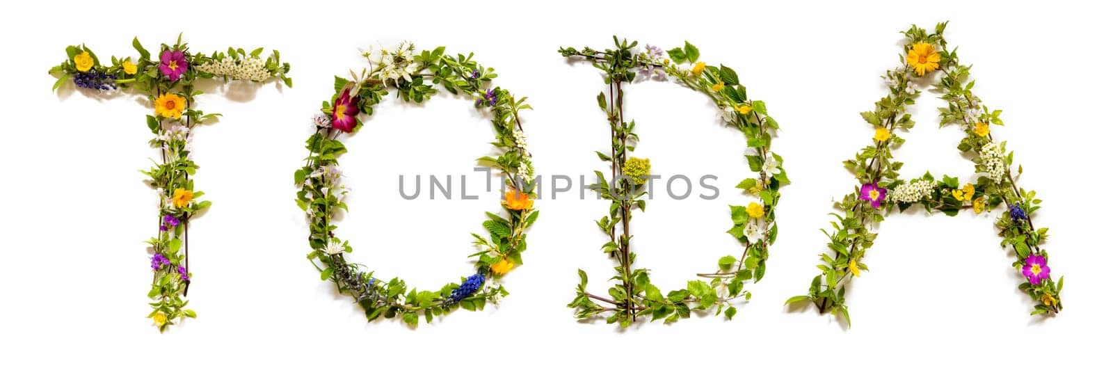 Colorful Flowers Building Hebrew Text Toda, Means Thank You in English, Some Green And Some Spring Flowers on Isolated White Background, Symbolic Meaning, Quote
