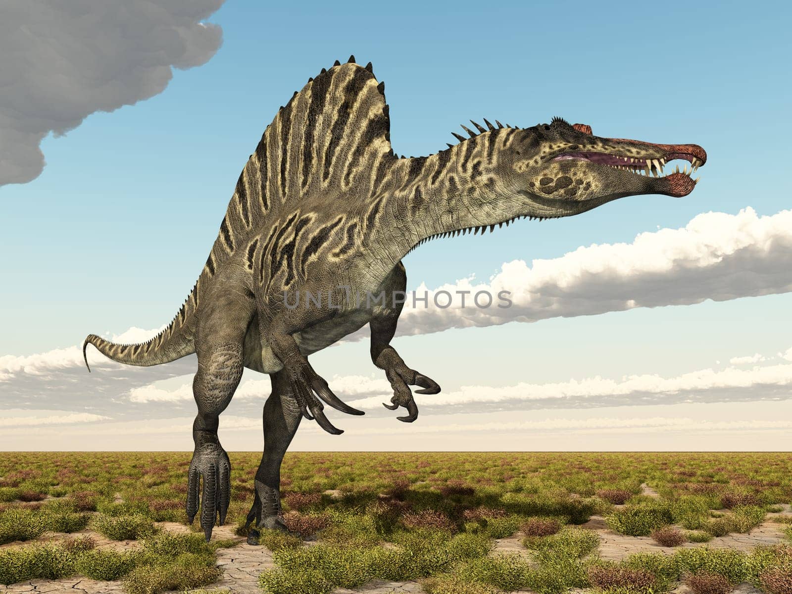 Computer generated 3D illustration with the dinosaur Spinosaurus in a landscape