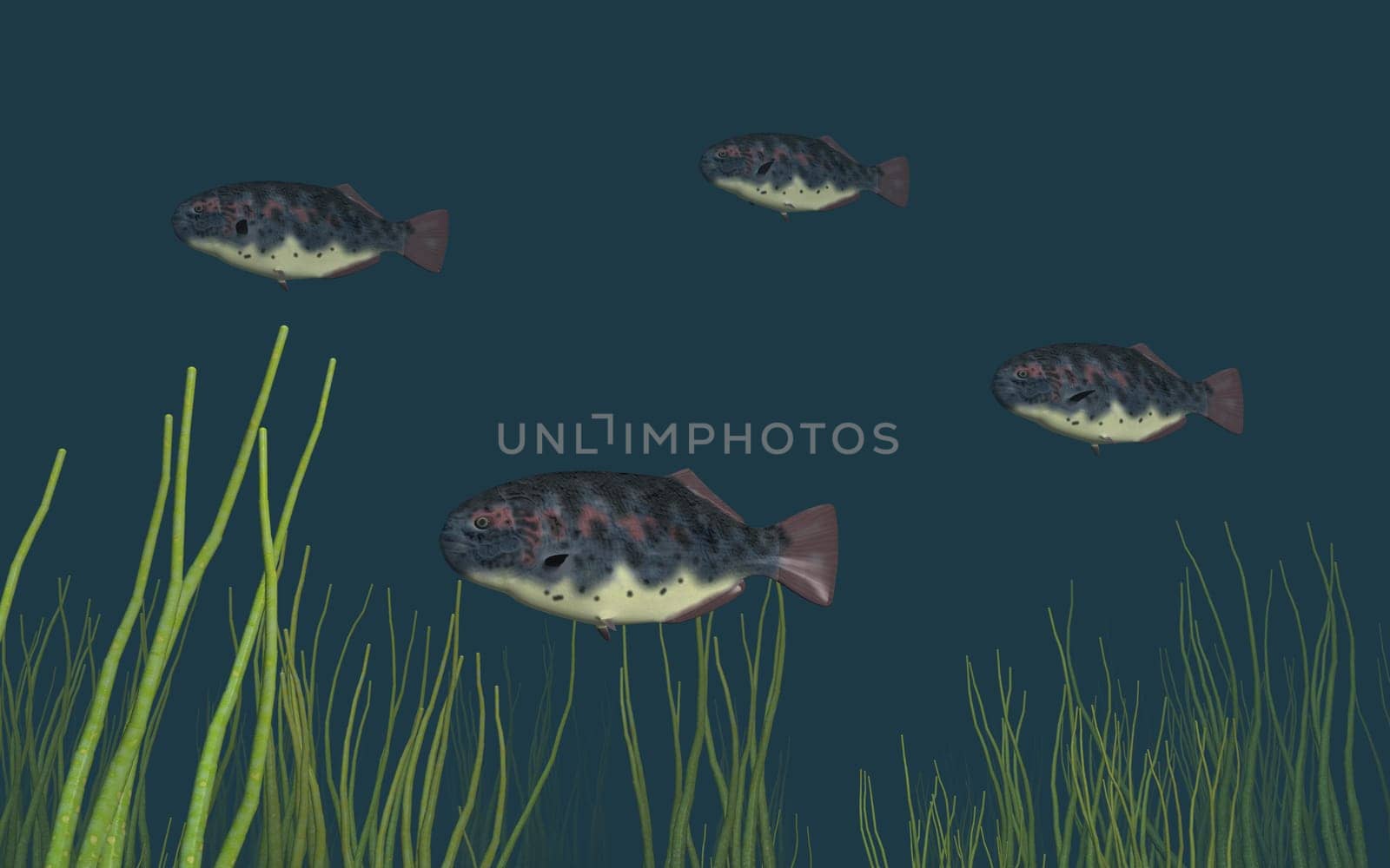 Computer generated 3D illustration with fish and underwater plants