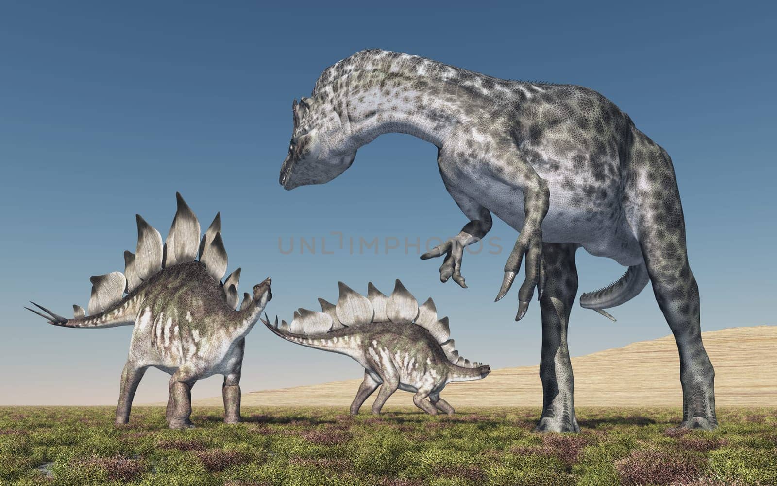 Computer generated 3D illustration with the dinosaur Allosaurus attacking the dinosaur Stegosaurus