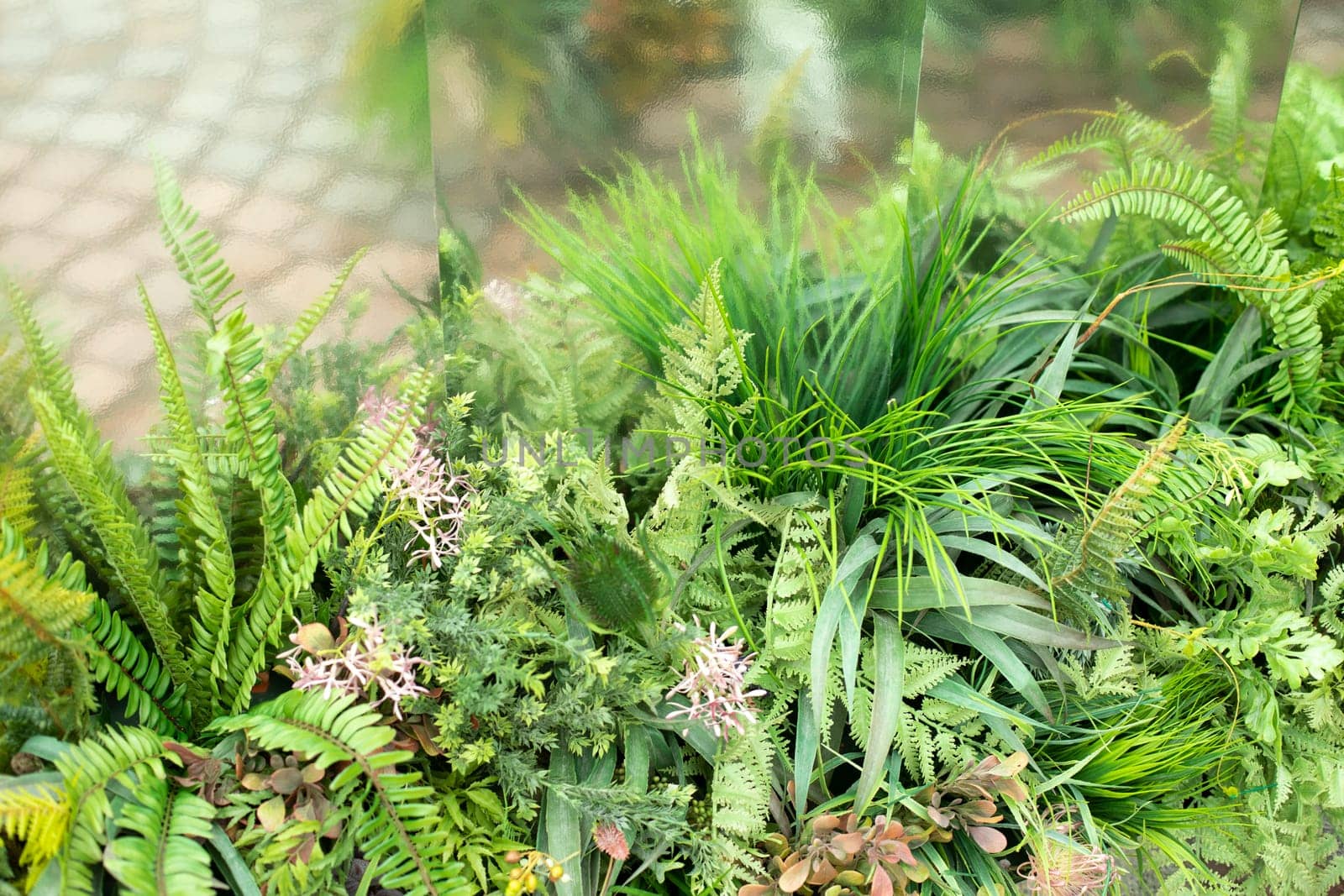 Plants in park. Artificial plantations of plants. Decoration Details. Green plastic.