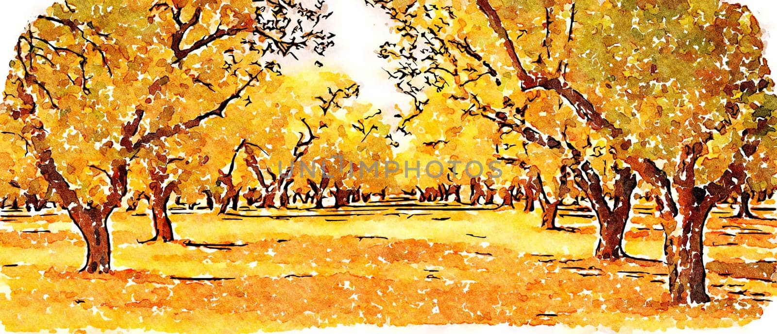 Creative illustration, vintage watercolor artistic design. Olive tree. Vintage design, natural background, nobody