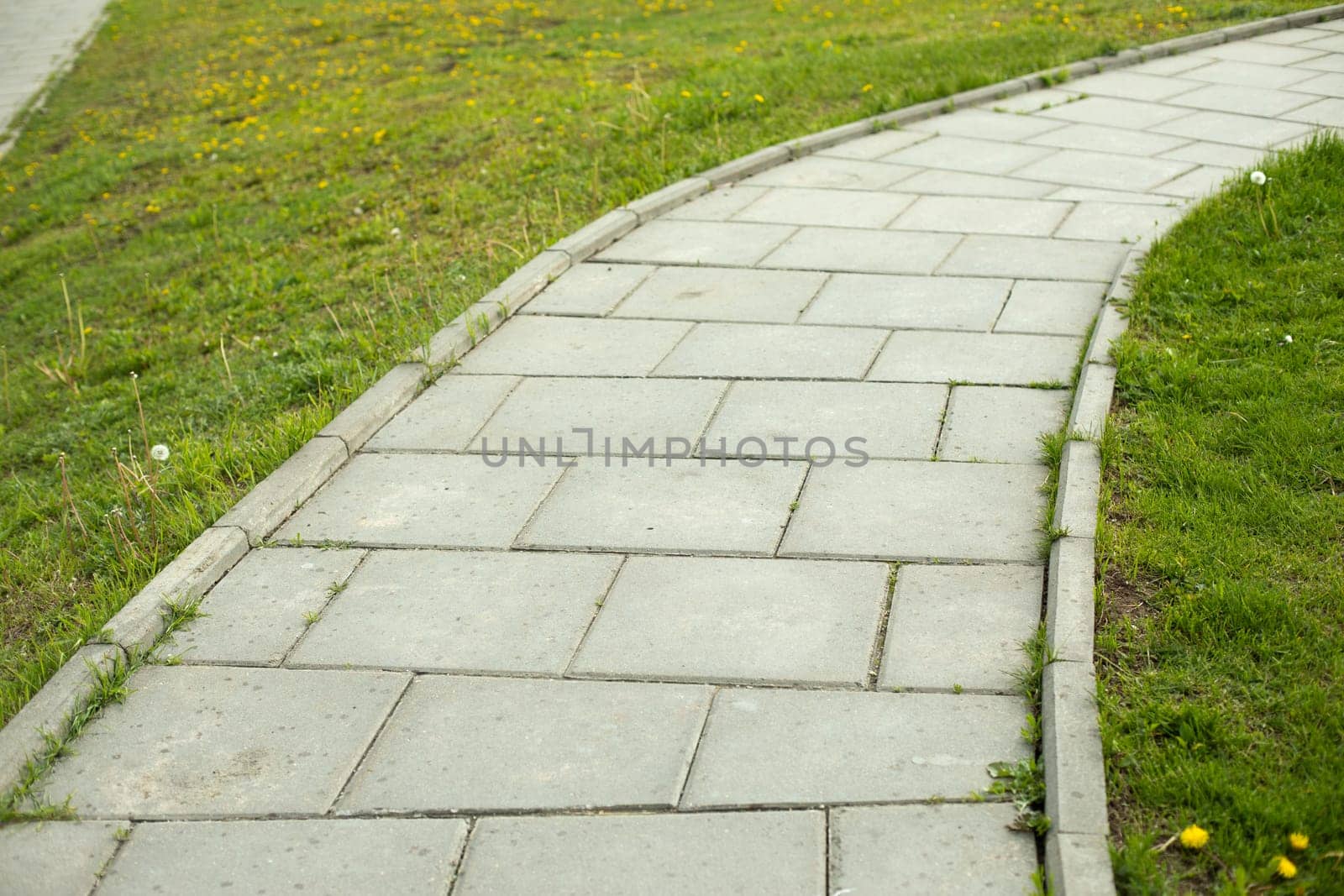 Path in park. Tile trail through park. Details of pedestrian zone. Place for walking. Tiles made of stone.