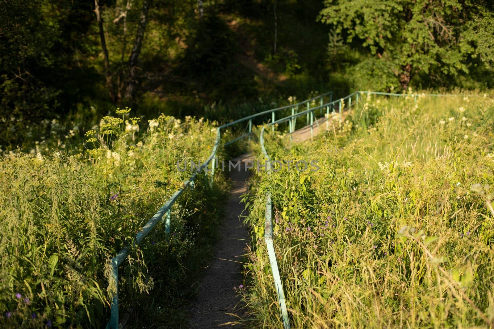 Bridge in park. Trail in ecological zone. Details of National Park. Steel railings in forest.