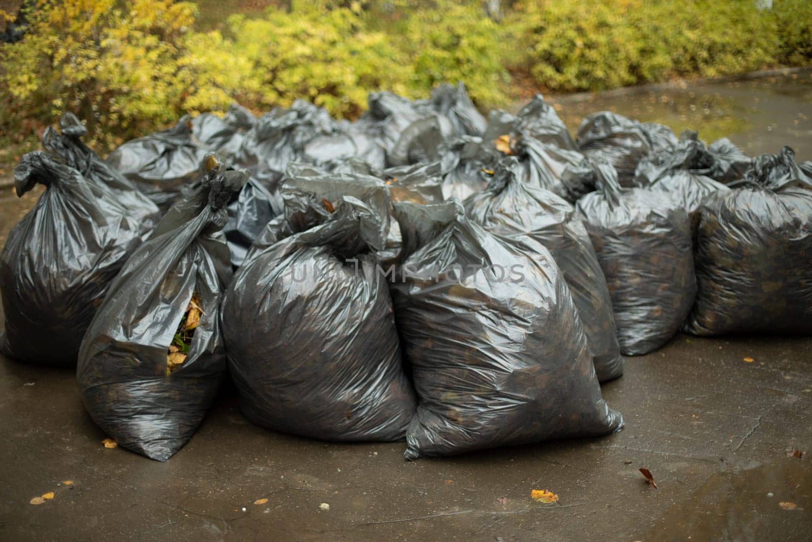 Black garbage bags. Many black packages. Cleaning in yard. Cleaning day in Russia.