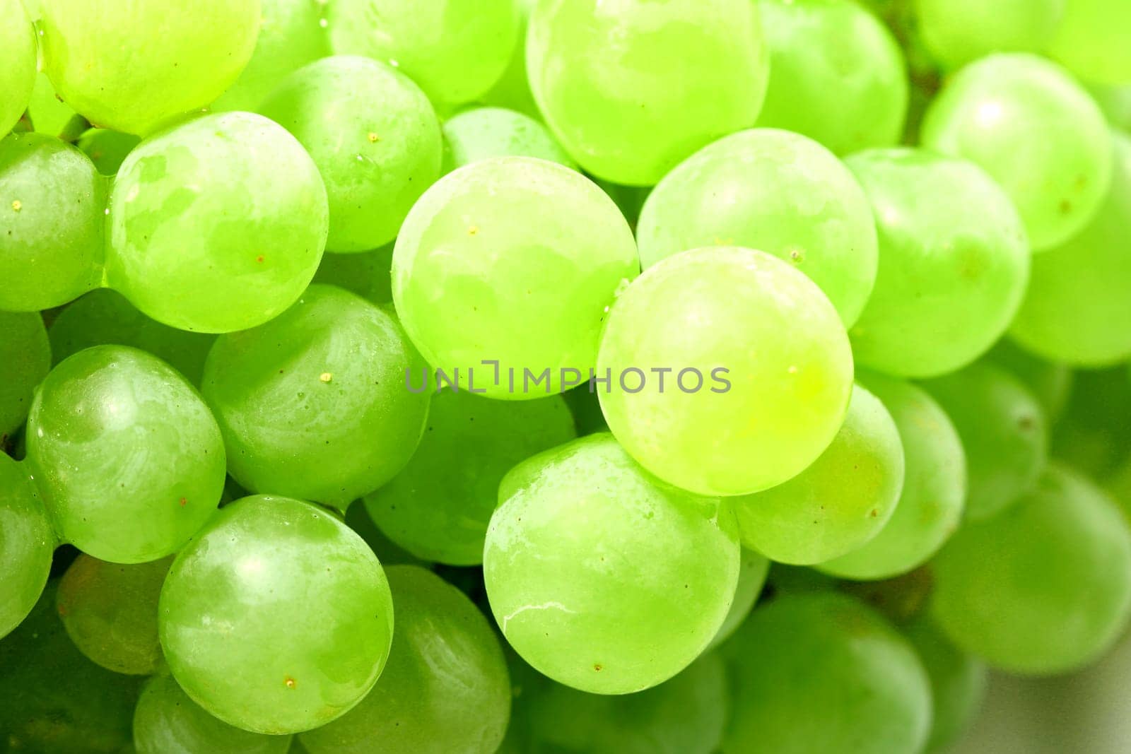 green grape isolated on white background