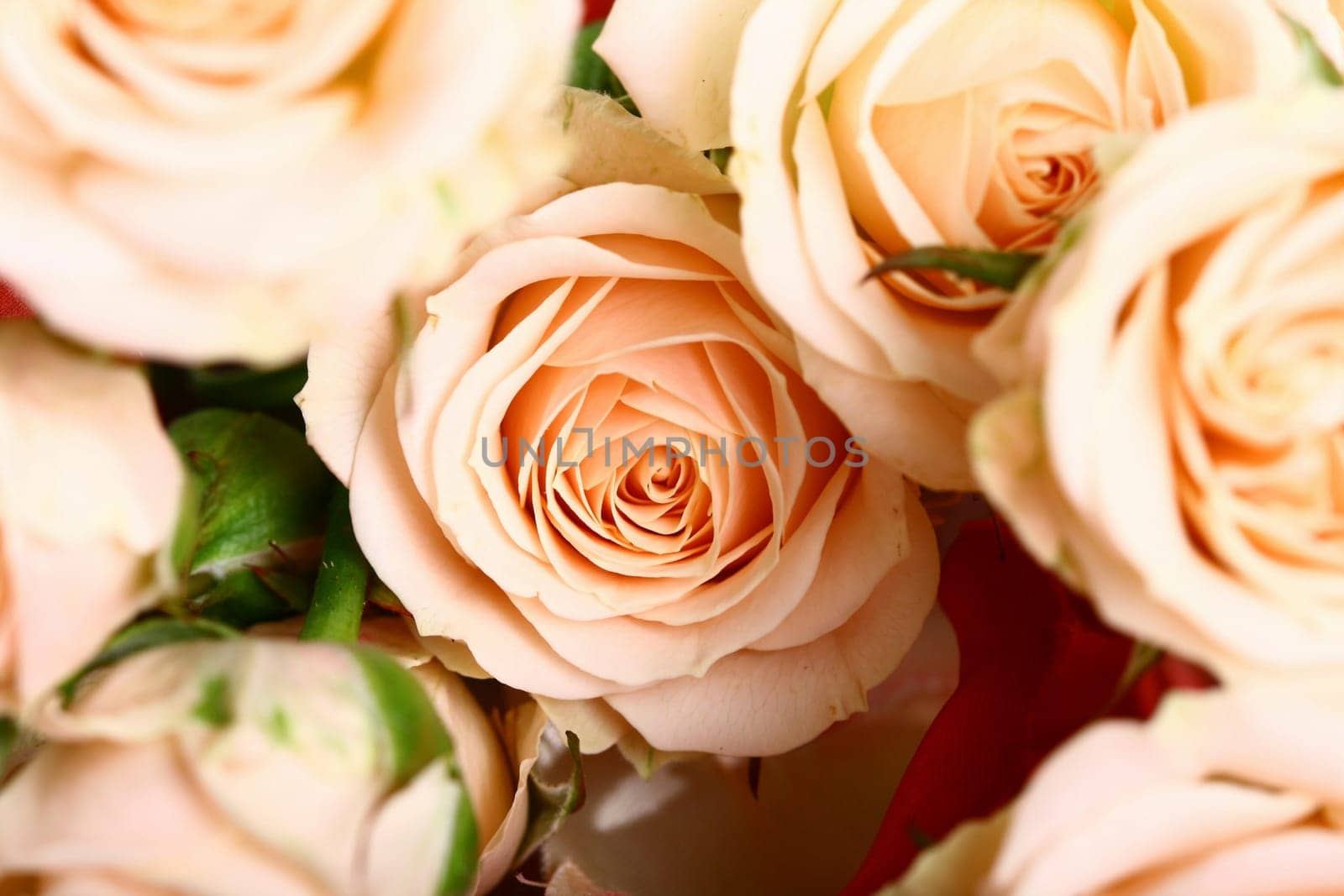 Very beautiful flowers gentle well smells card