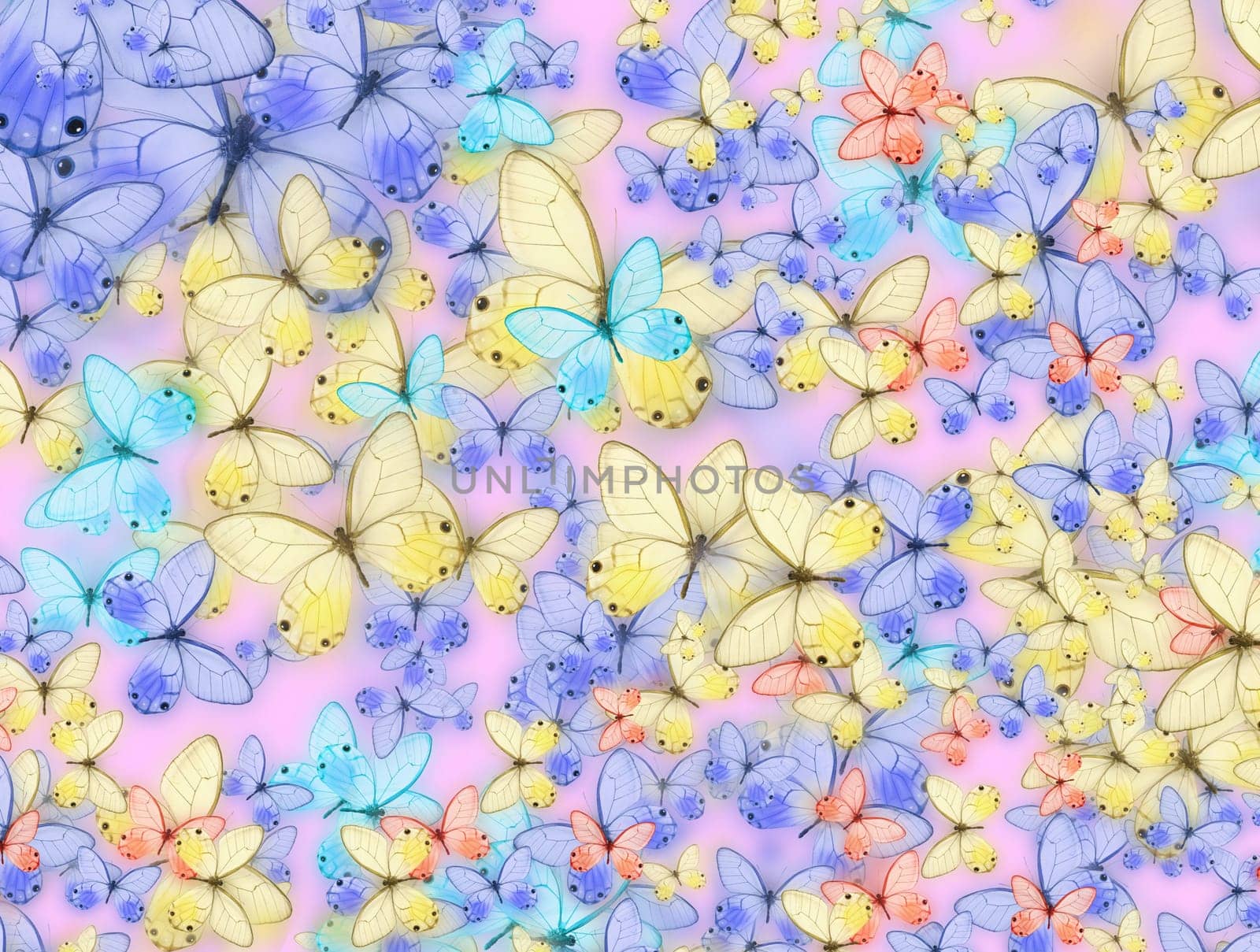 beautiful butterfly abstract texture background