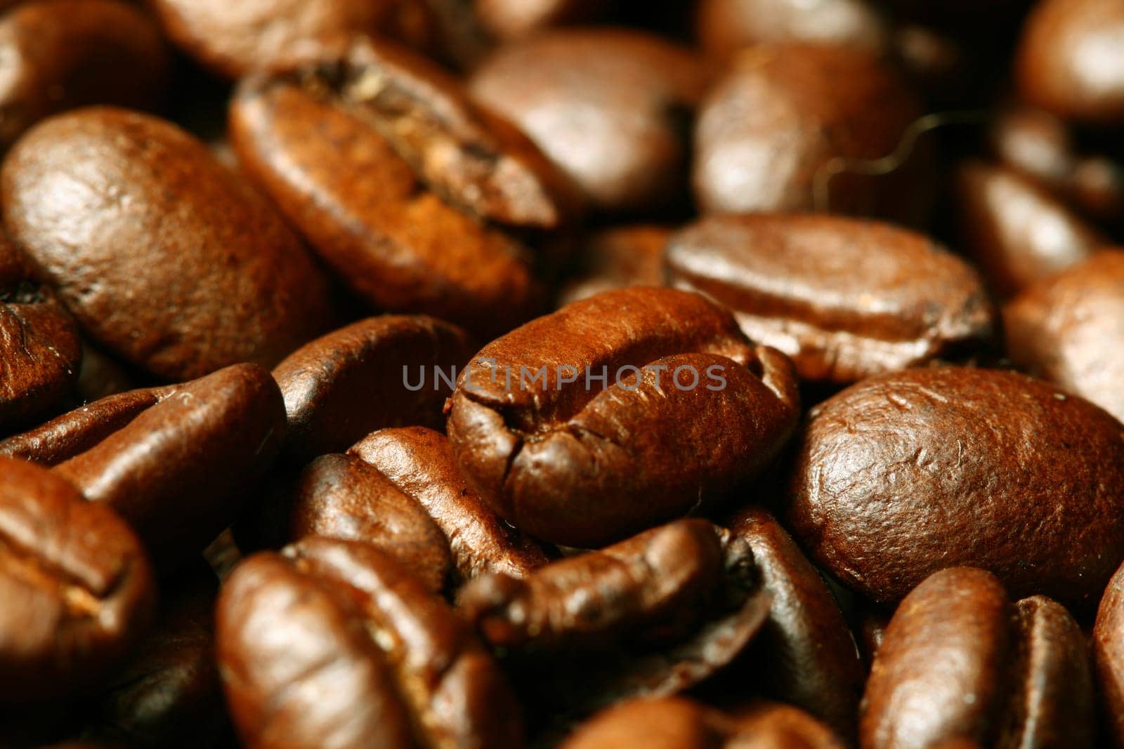 coffee beans macro close up