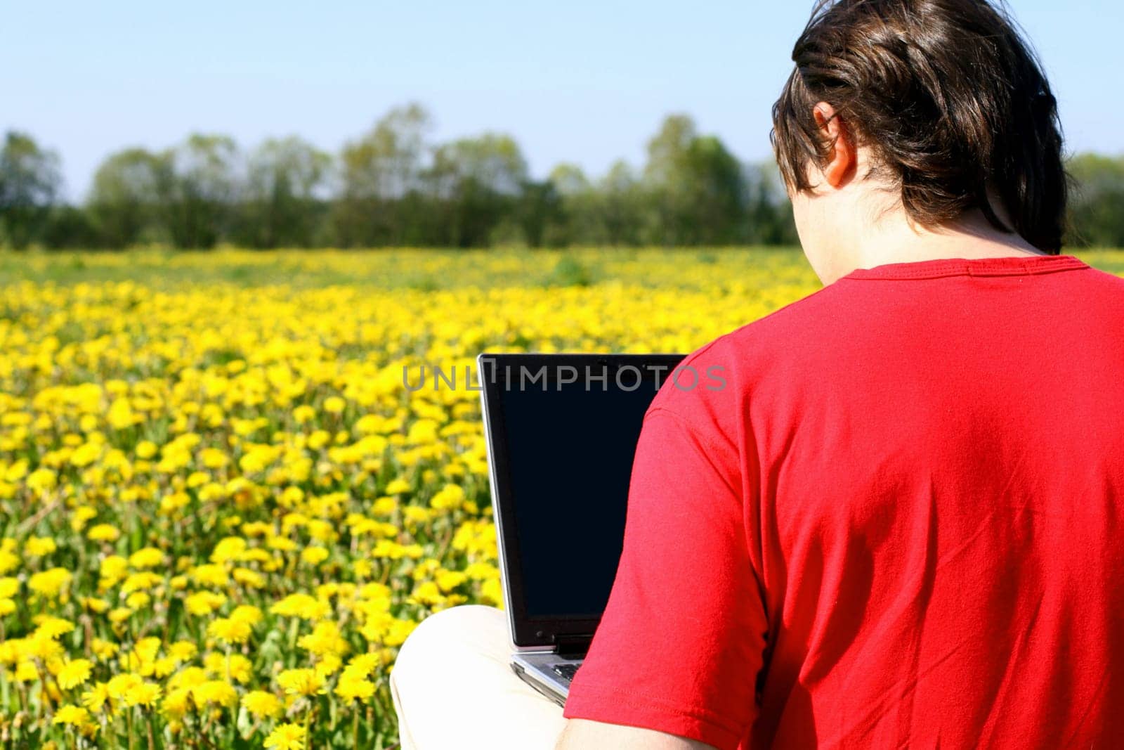 creative business laptop nature work