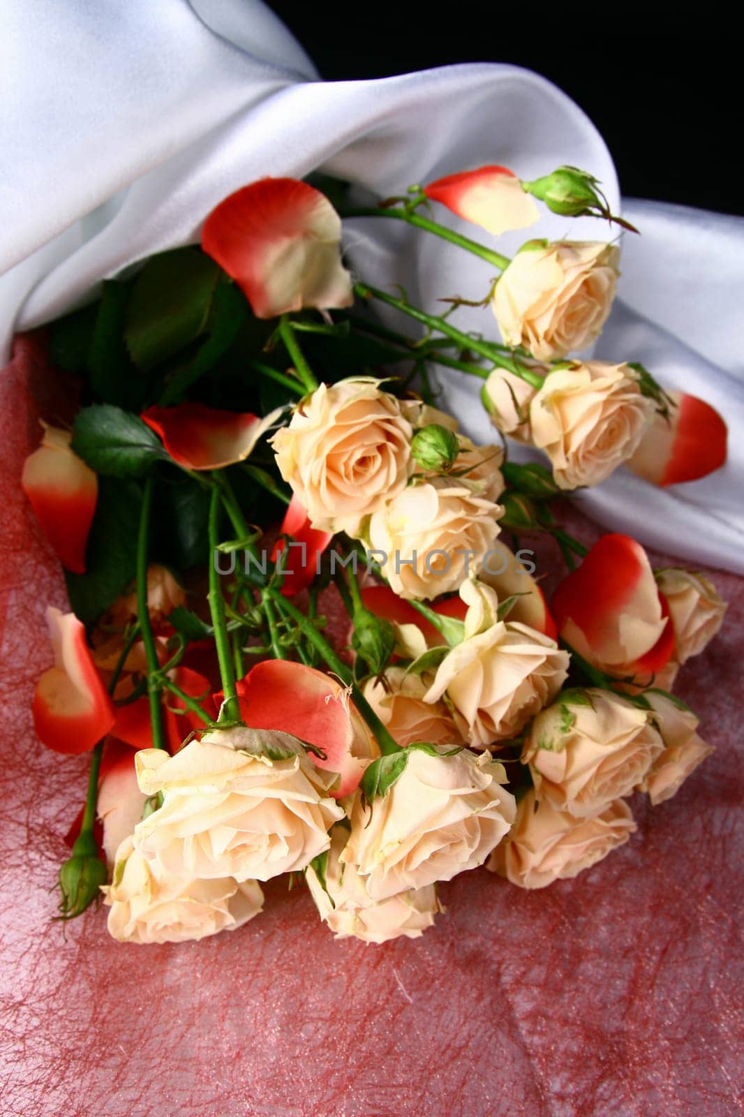 Very beautiful flowers gentle well smells card rose