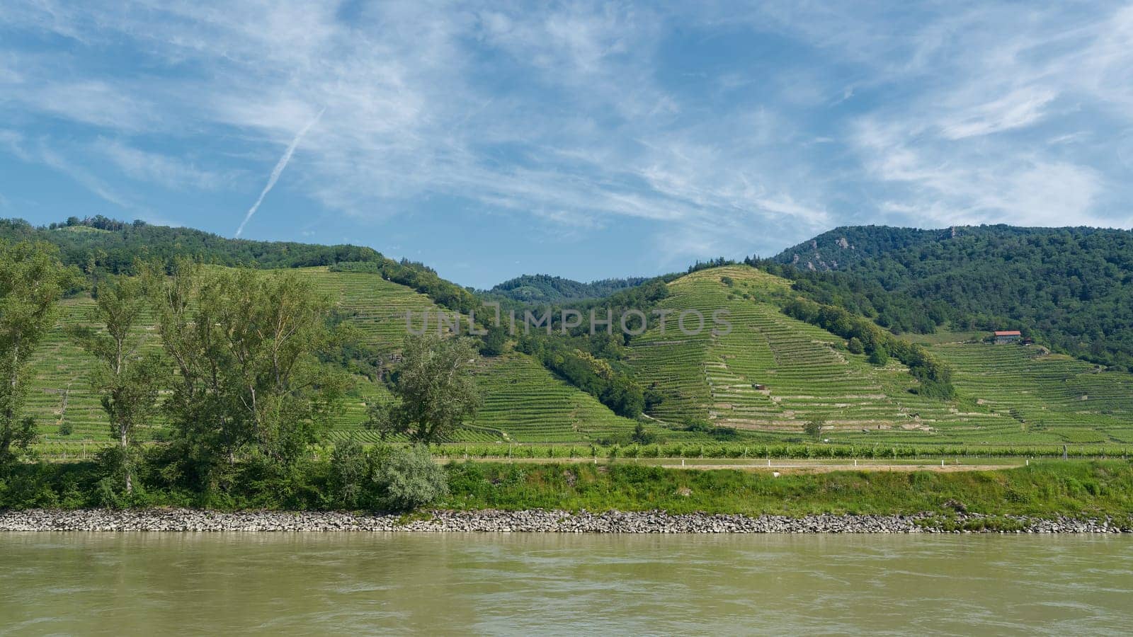 landscape of the Wachau on the Danube river in Austria, characterized by viticulture