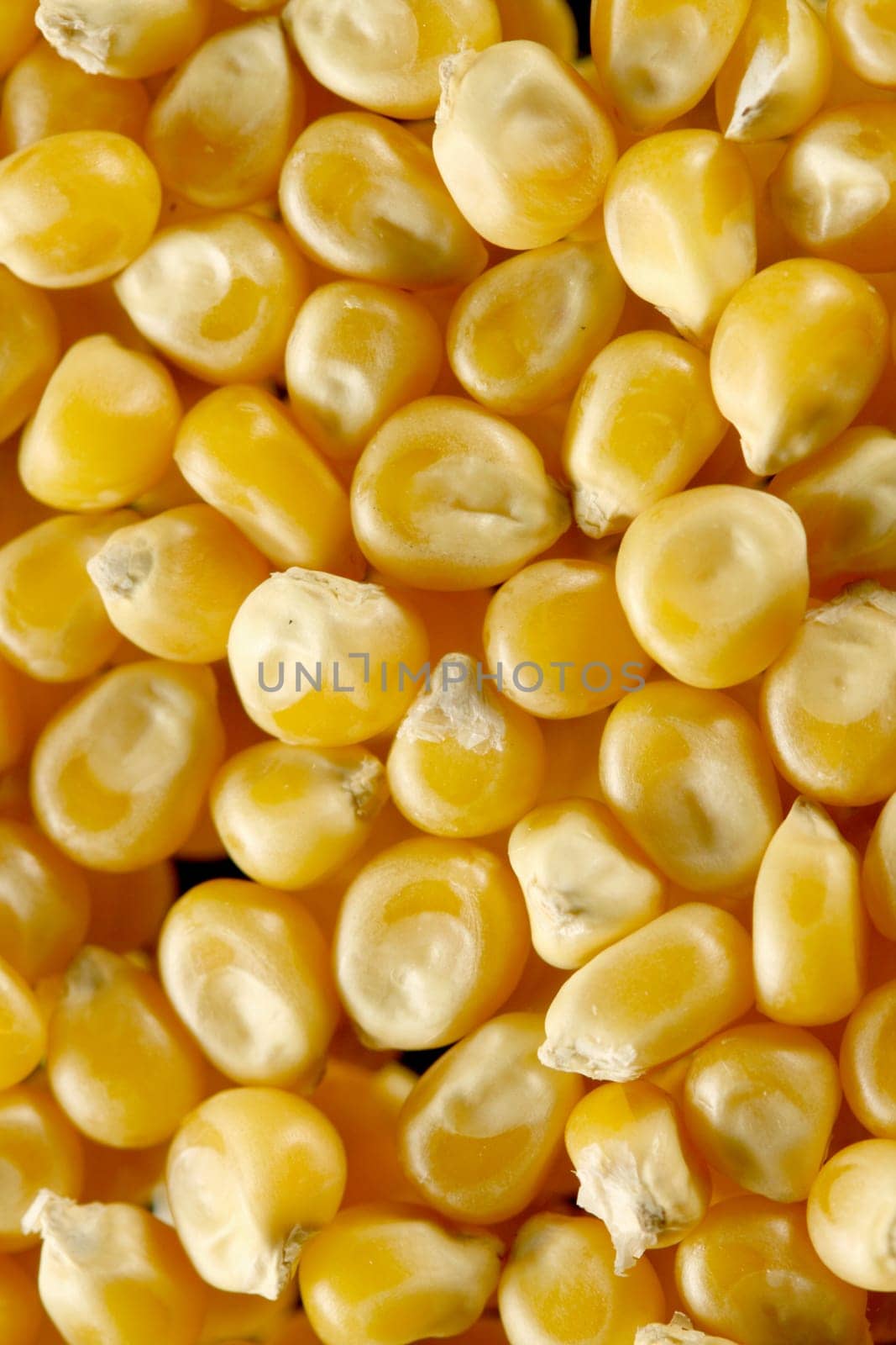 corn seeds nature food background