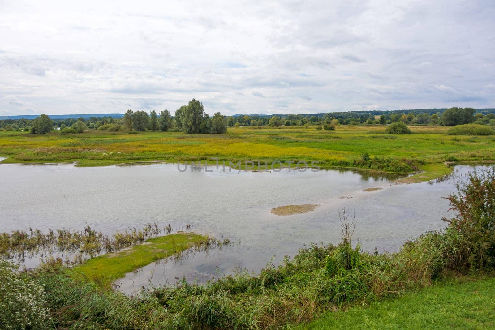 Bird island at the Altmuehlsee, Bavaria, Germany - Vogelfreistaette Flachwasser- und Inselzone im Altmuehlsee
