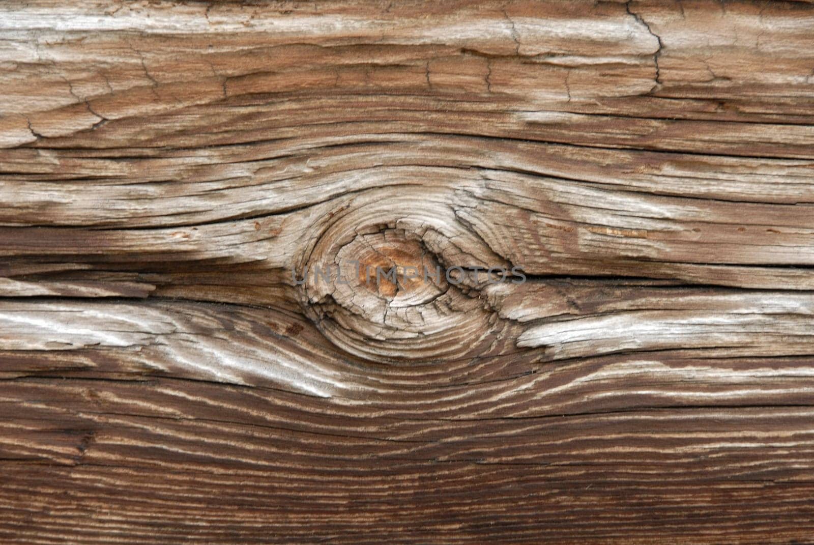 Wood background. Part of old wooden wall.
