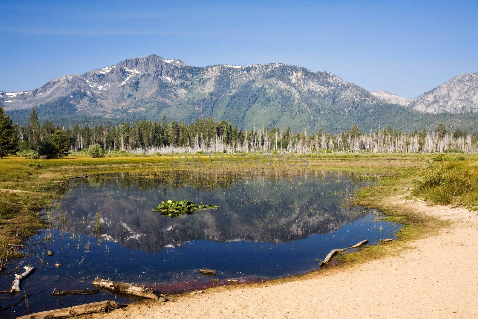 Mount Tallac Reflection.Taylor Creek.South Lake Tahoe, California.