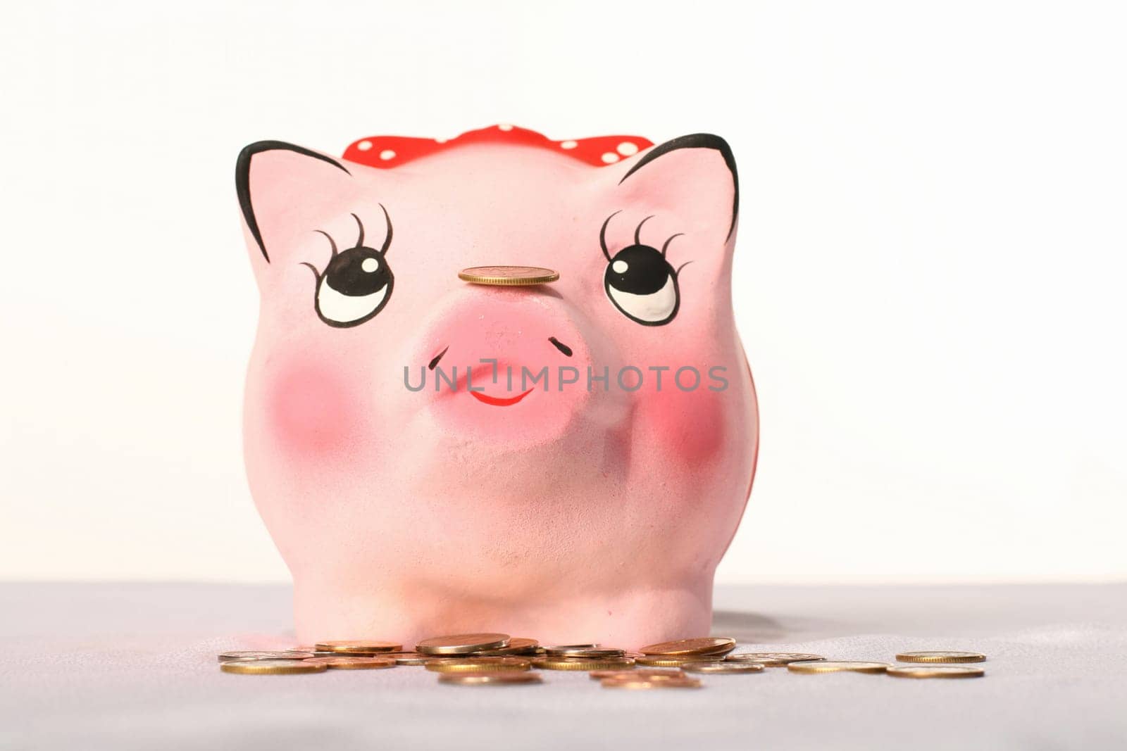 pink pig bank to hold money