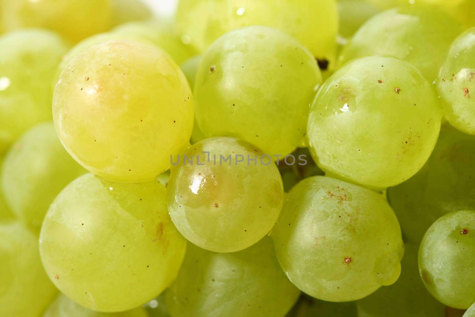 green grape isolated on white background