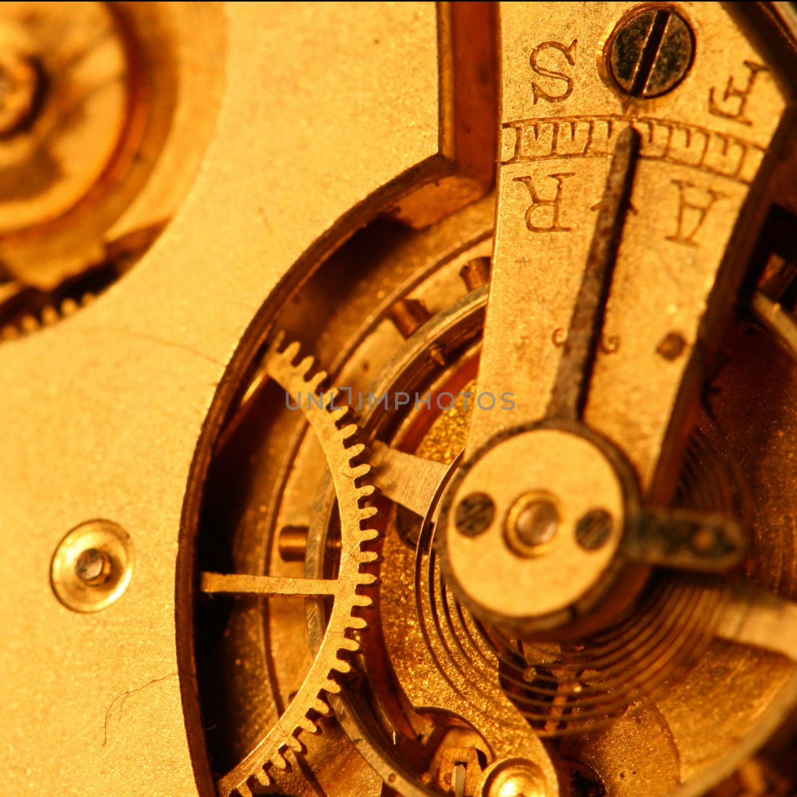 golden gear macro close up