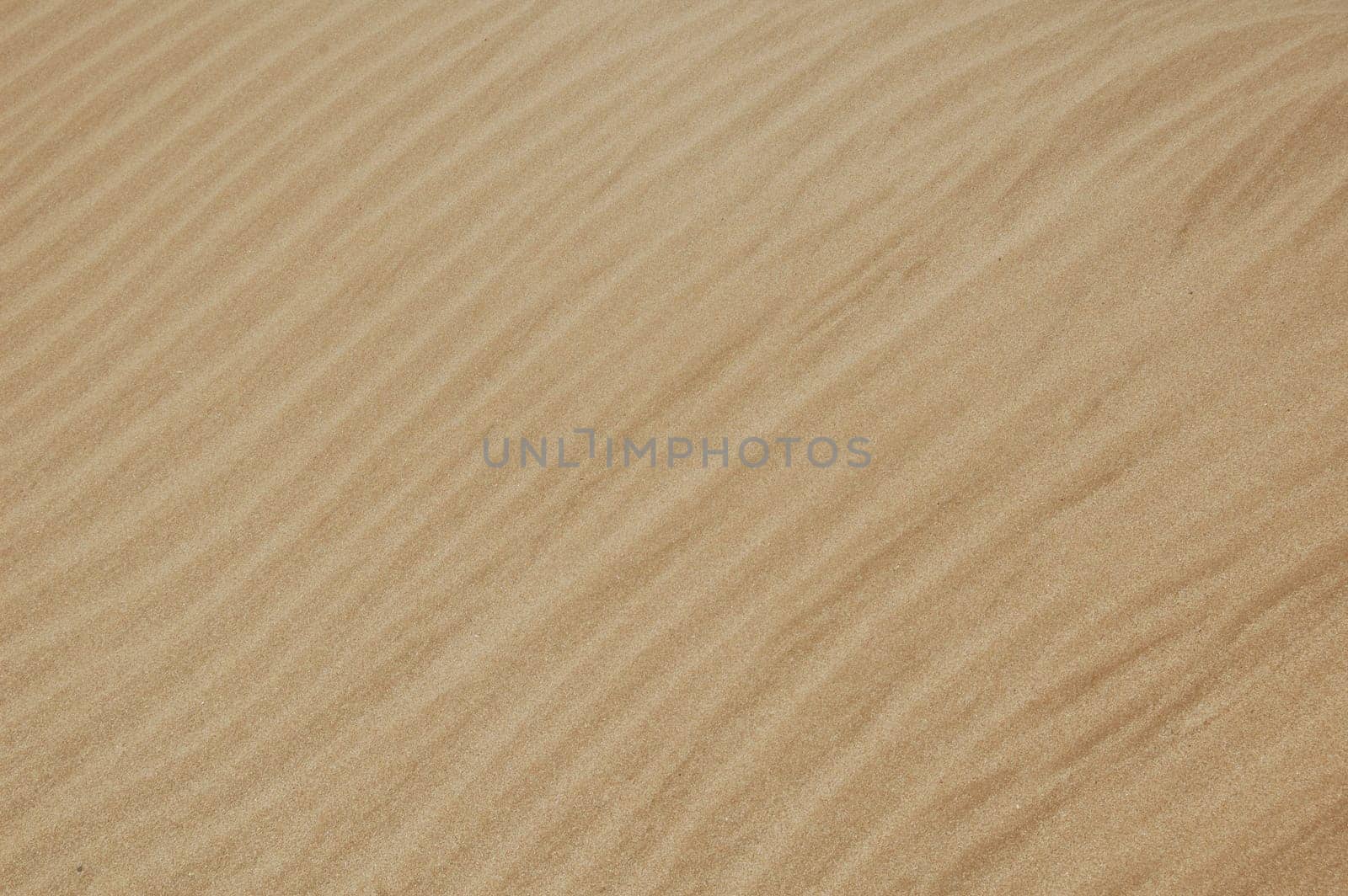 Sea sand background