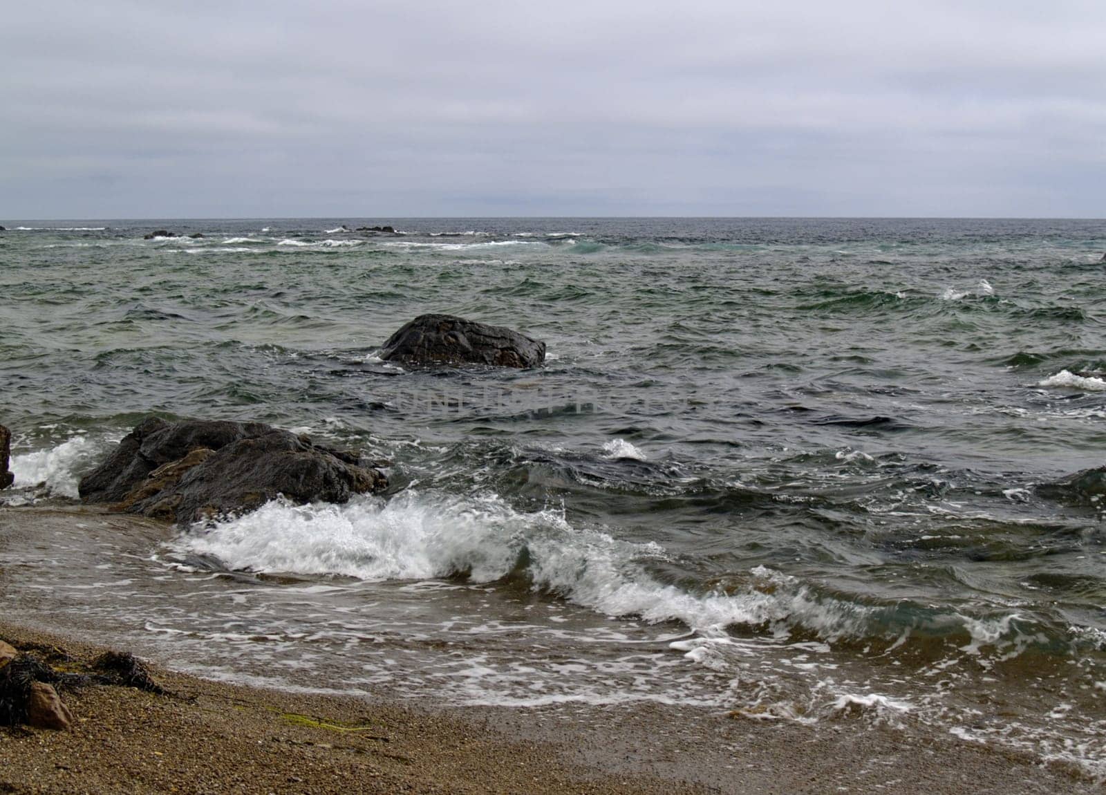 The Japanese sea at dull day skim in Russia