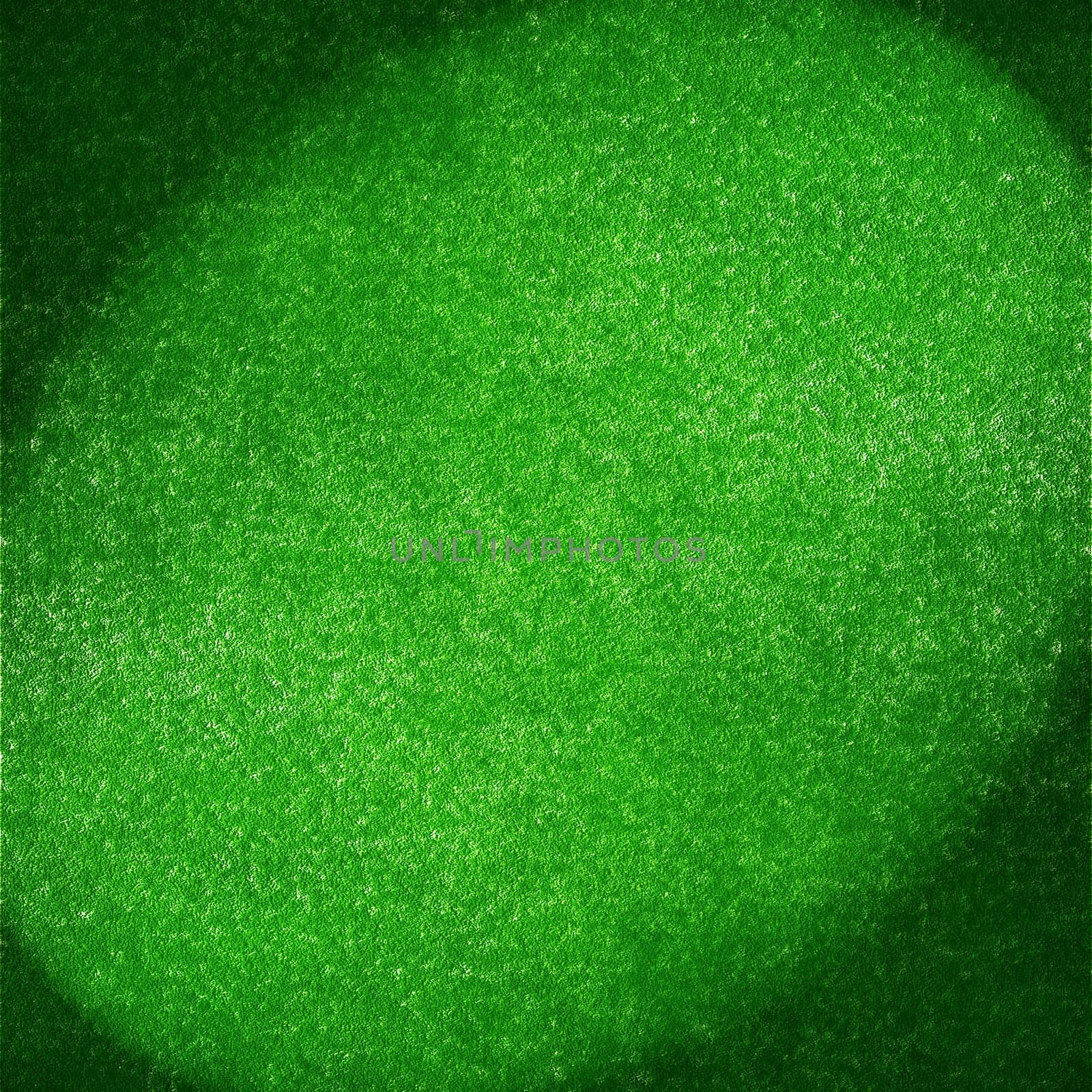 Green grass background with shaded areas