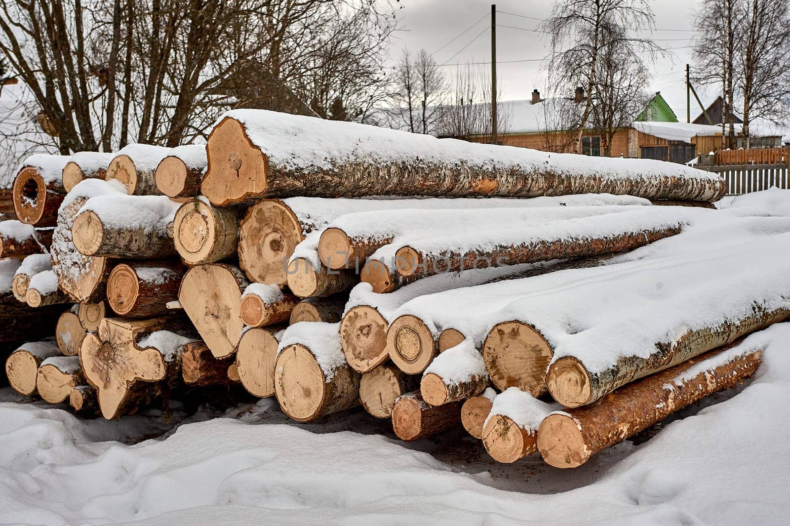 The sawn aspen is stacked under the snow. High quality photo