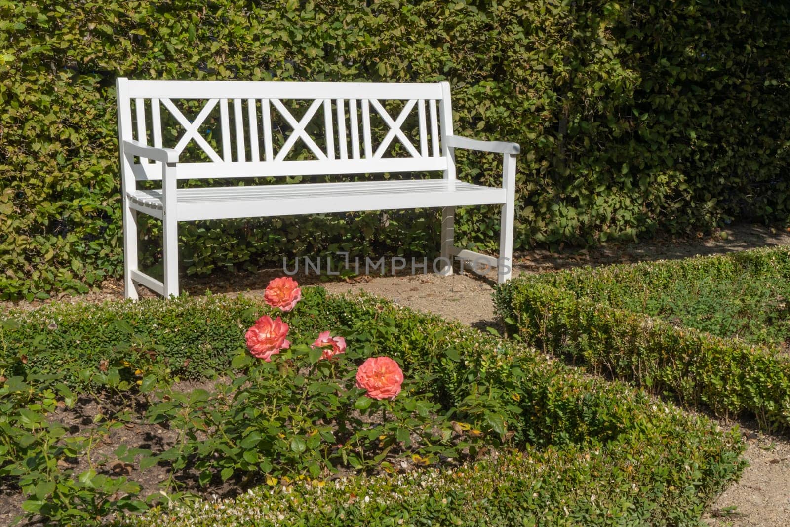 An old wooden white bench in a green park. An idyllic place to relax and enjoy nature