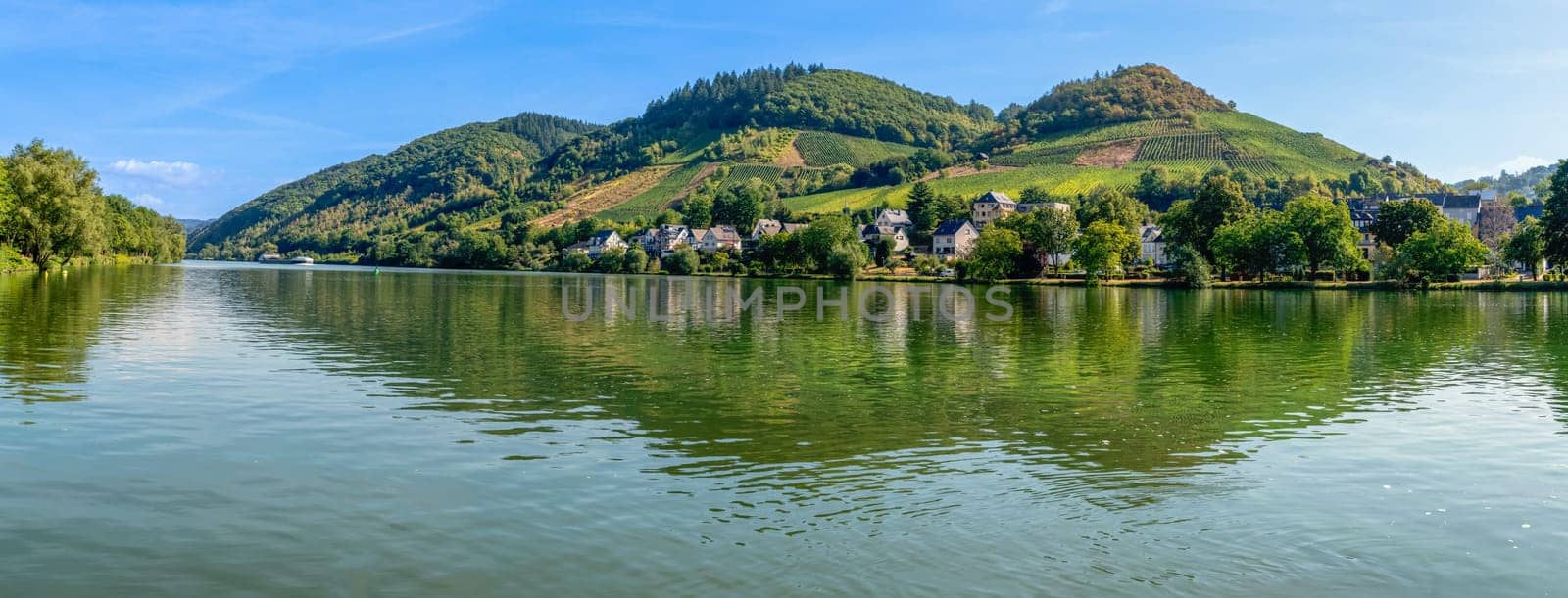 A beautiful view from Alf in the district of Cochem-Zell in Rhineland-Palatinate across the Moselle to Bullay in bright sunshine.