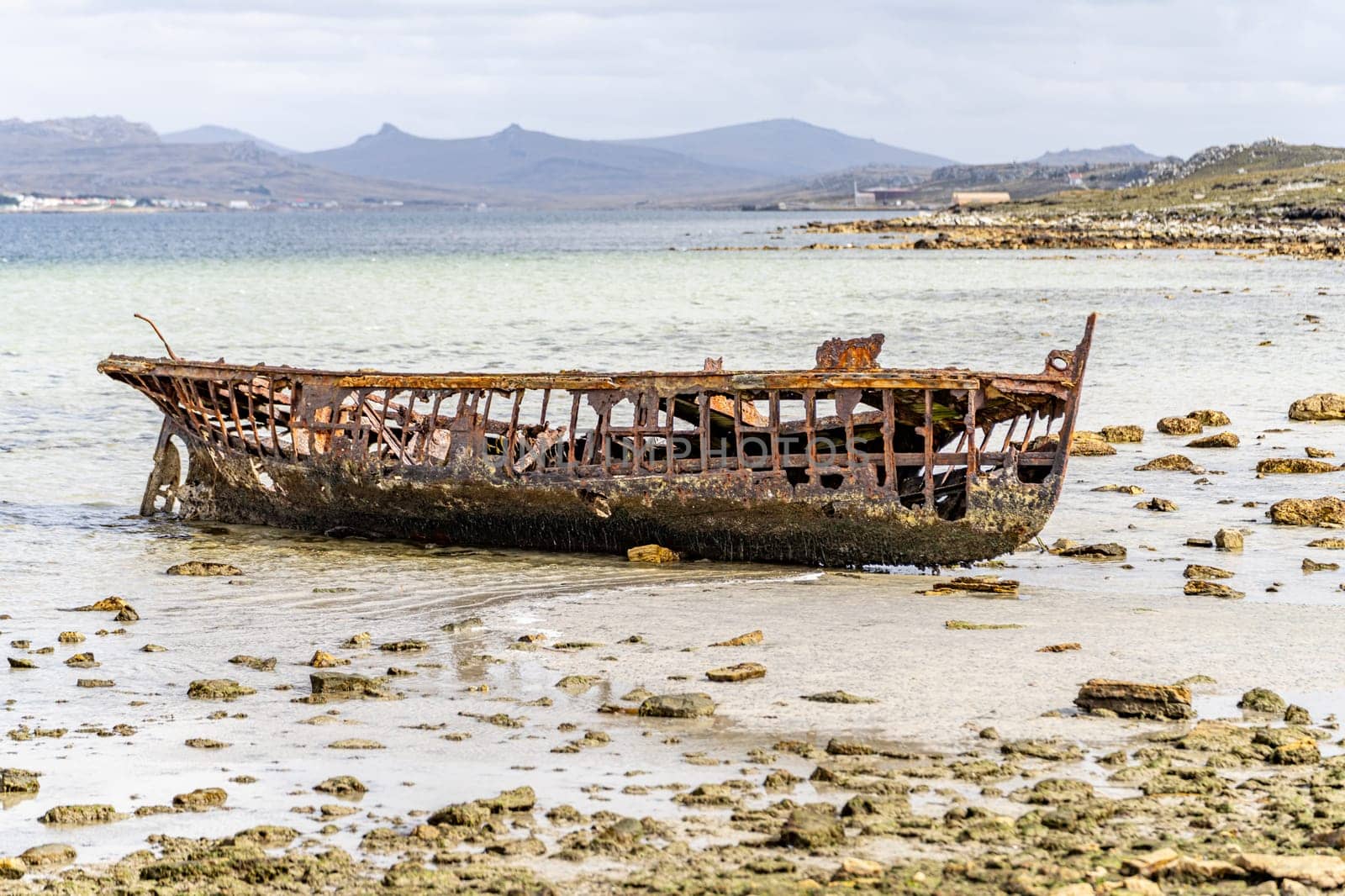 An old whaler wreck in Whalebone Cove off Stanley in the Falkland Islands. Stanley in the background